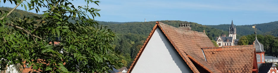 Königstein Taunusblick